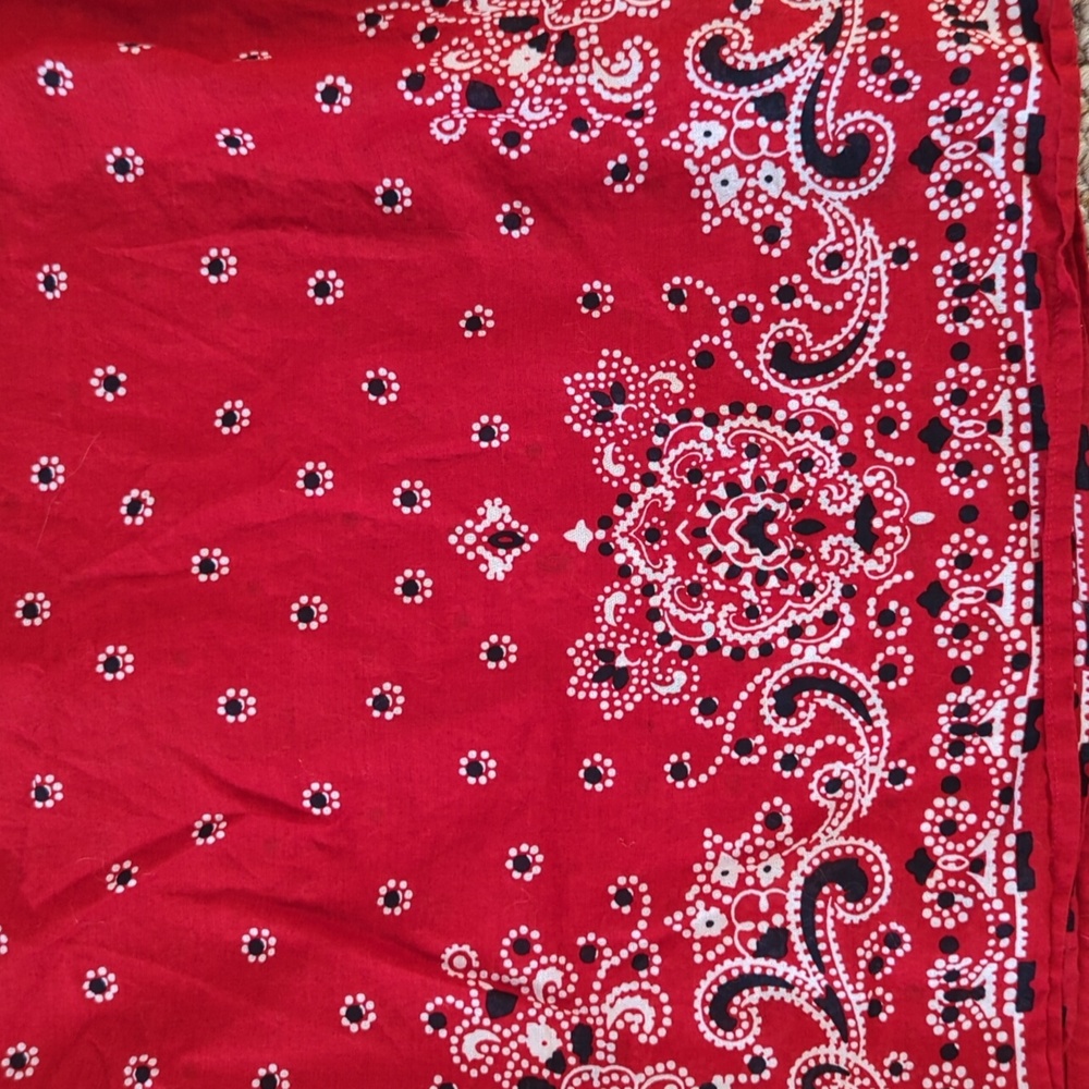 Talbots blouse - Picture 3 of 8